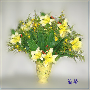 黃金百合盆花